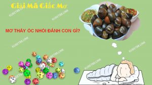 Ý nghĩa giấc mơ thấy ốc nhồi là gì?